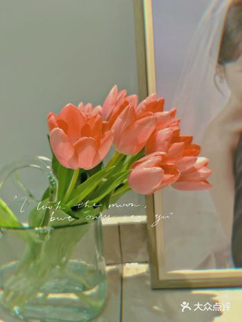 去年在凤起花鸟市场买了植物觉得还不错, 今年去看看鲜