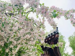 -元大都城垣遗址公园