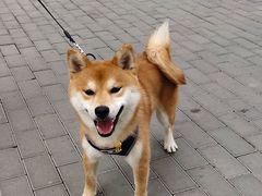 -美联众合24小时·皮肤科·外科·全科诊疗中心(华苑分院)