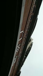-重庆医科大学附属儿童医院(渝中院区)