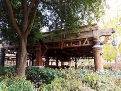 -Tangled Tree Tavern 老藤树食栈