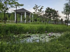 -东莞植物园