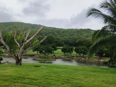 -三亚南山文化旅游区