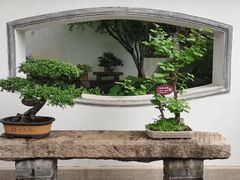 -上海醉白池公园
