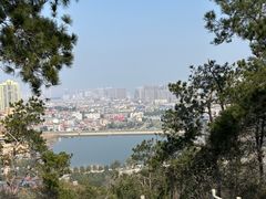 -青龙山国家森林公园