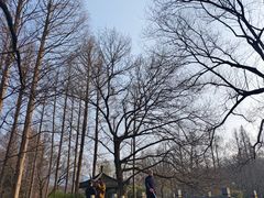 -茅家埠