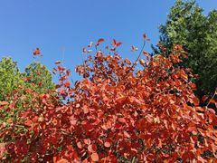 -北京西山国家森林公园