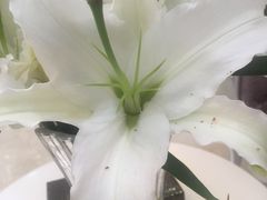 -康城口腔(磁器口店)