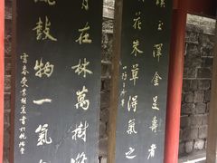 -碑林公园
