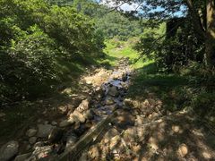 -东莞市大岭山森林公园