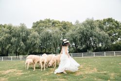 -BabyA 专业婴童摄影(古北时尚广场店)