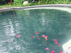 -海兰云天度假区温泉