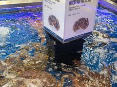 -盒马X会员店(上海森兰商都店)