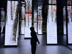 -中国湿地博物馆