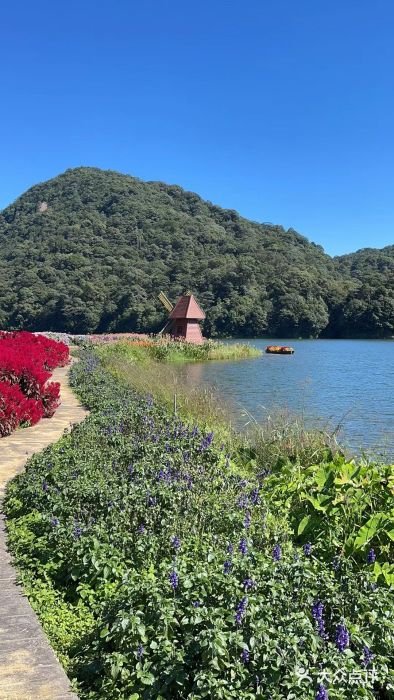 广州市石门国家森林公园图片