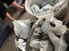 -马陆小张葡萄园农家乐