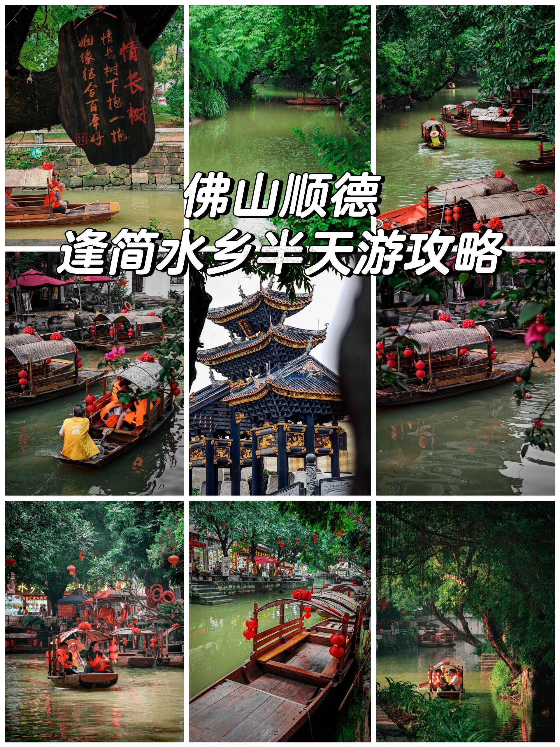佛山逢简水乡游玩攻略
