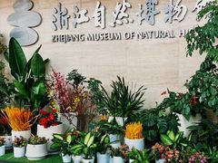 -浙江自然博物院(杭州馆)