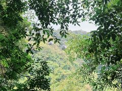 -广州市白云山风景名胜区
