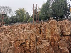 -昆明动物园
