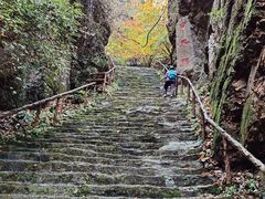 -天女山森林公园