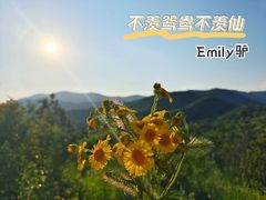 -北京西山国家森林公园