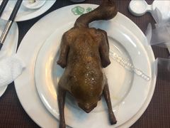 红烧乳鸽-光明招待所(邦凯科技园店)