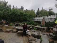 -洛龙公园