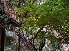 -鱼桥巷·美学川菜