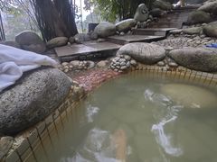 -三江森林温泉度假区