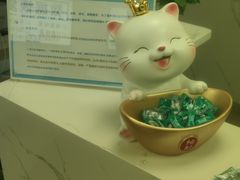 -小米手机笔记本电脑售后维修