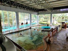 -明月山天沐温泉度假村