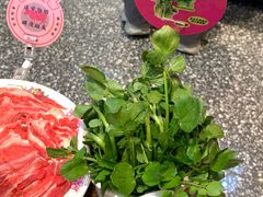 -粉灯牛腩牛杂煲·鸡煲(双井店)