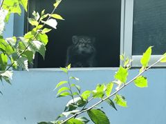 -青藏高原野生动物园