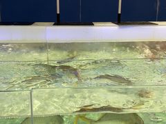 -盒马X会员店(上海森兰商都店)