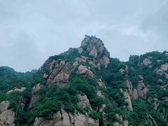 -大岭沟猕猴桃谷风景区