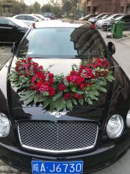 -蚂蚁婚车