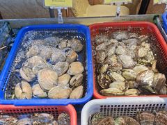 -新金盛·海鲜酒楼(盐田店)