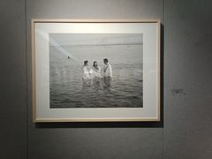 展品-秩序-大连美术馆