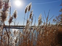 -野鸭湖国家湿地公园