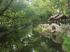 -红梅公园
