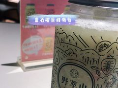 -野萃山·潮汕厚果汁(十亩地店)