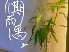 -大梅沙游艇度假酒店