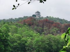 -红花湖景区