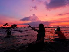 -宝安西湾红树林湿地公园