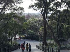 -上海佘山国家森林公园西佘山园