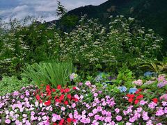 -庐山风景名胜区