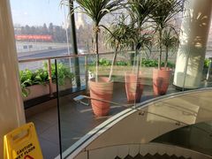-麦当劳(展览路店)