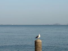 -旺角小渔村(二马路店)