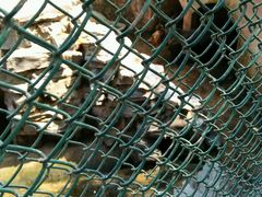 -祥源·阜阳生态乐园